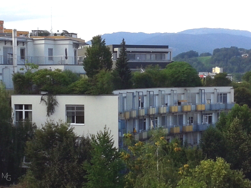 Intenzivna zelena streha