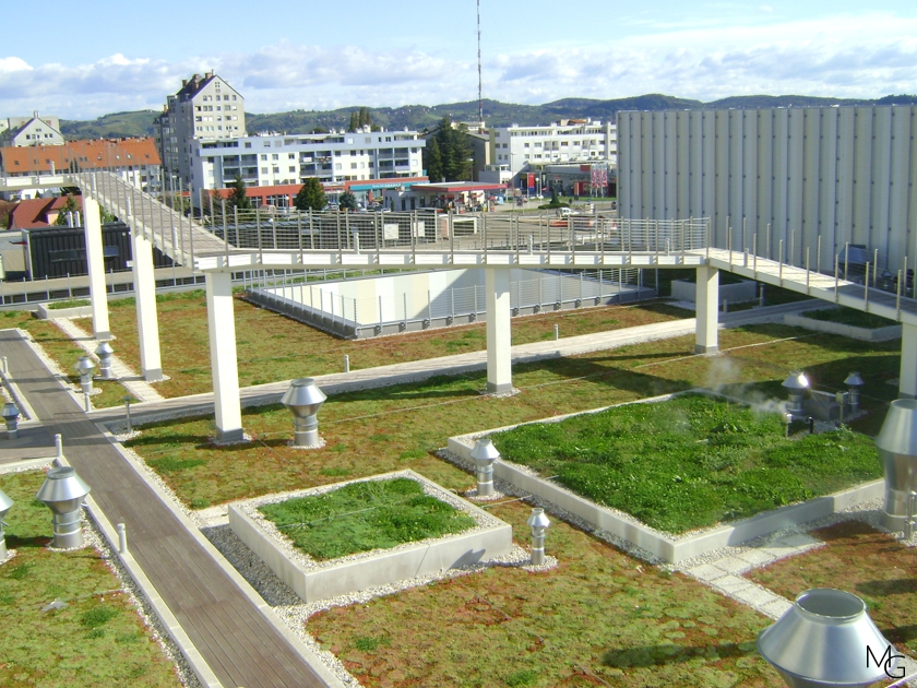 Kombinirana ozelenitev strehe