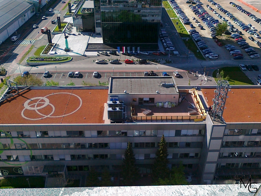 Simobil lj zelena streha